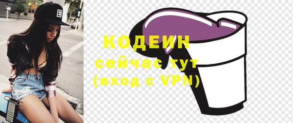 мяу мяу кристалл Корсаков