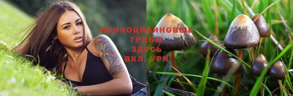 соль ск Коряжма