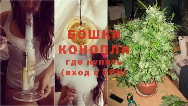 соль ск Коряжма