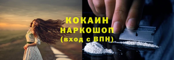 мяу мяу кристалл Корсаков