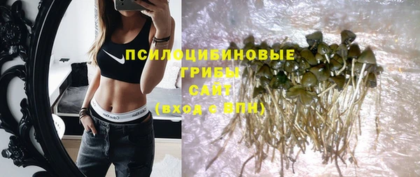 винт Костерёво