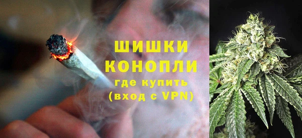 винт Костерёво