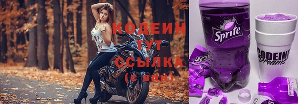 мяу мяу кристалл Корсаков