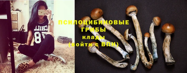 винт Костерёво
