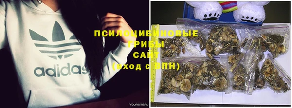 мяу мяу кристалл Корсаков