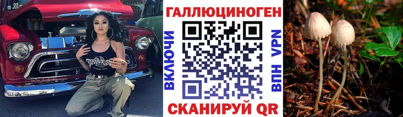 Галлюциногенные грибы прущие грибы  Купить  Грязовец 